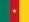 flag Cameroon