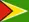 flag Guyana