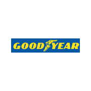 Goodyear Efficientgrip Performance 225/50R16 92W